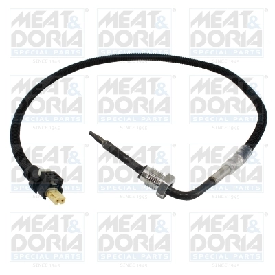 Sensor, exhaust gas temperature